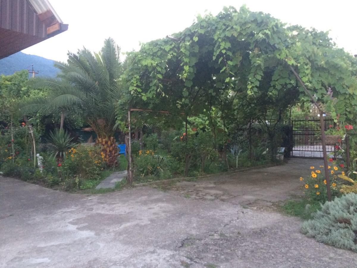 Guesthouse Mira Gagra Exterior photo
