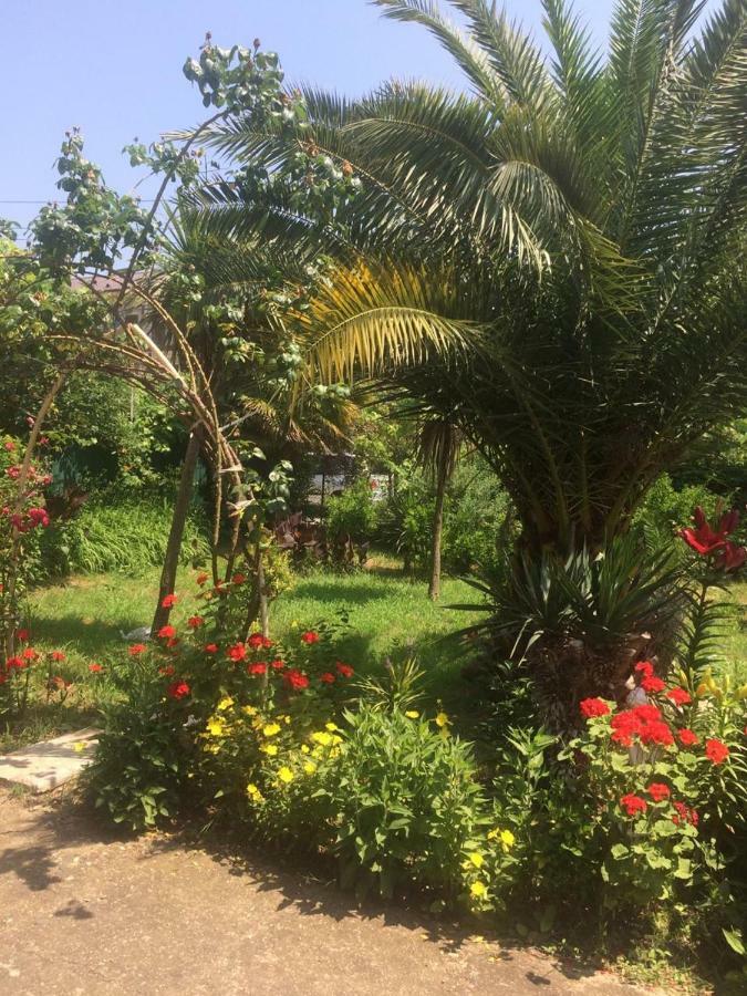 Guesthouse Mira Gagra Exterior photo